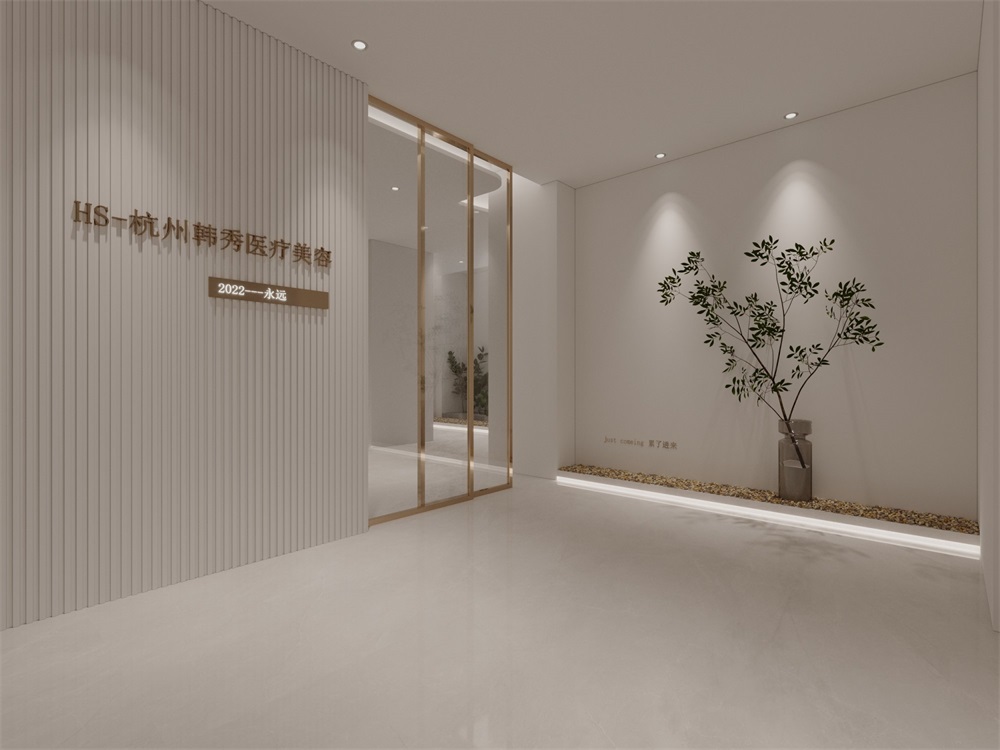 杭州簡約醫(yī)療美容機構裝修設計案例效果圖