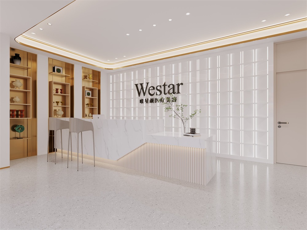 衢州醫(yī)療美容醫(yī)院裝修設(shè)計(jì)案例效果圖