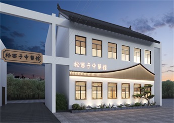 湖州社區(qū)中醫(yī)館設(shè)計(jì)案例效果圖